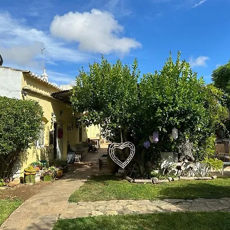بيت ضيافة Casa De *