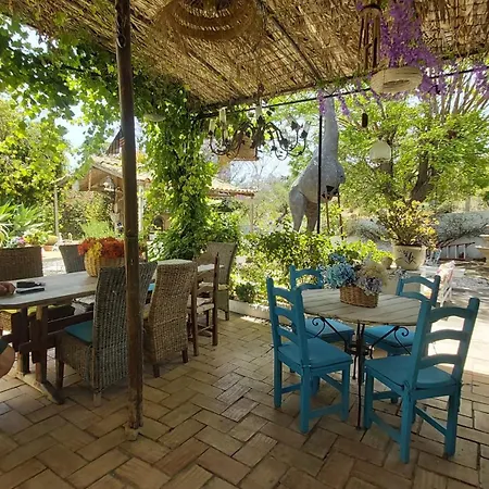 Guest house Casa De Boliqueime