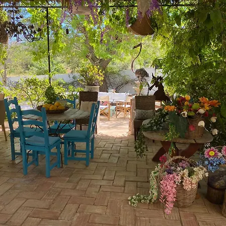 Guest house Casa De *